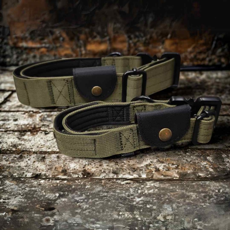 PawVella™ Collare in Tessuto REX per Cani | Comfort e Stile