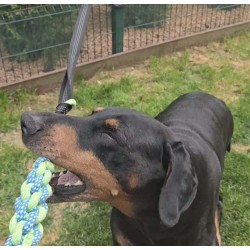 PawVella™ Gioco POWER FLEX | Gioco Interattivo Tira e Molla per Cani