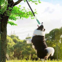 PawVella™ Gioco POWER FLEX | Gioco Interattivo Tira e Molla per Cani